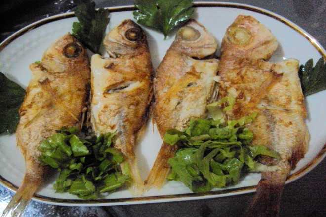 mercan-baligi-tavasi-1